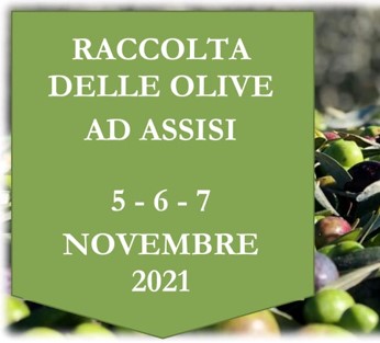 Raccolta delle Olive 5-6-7 Novembre